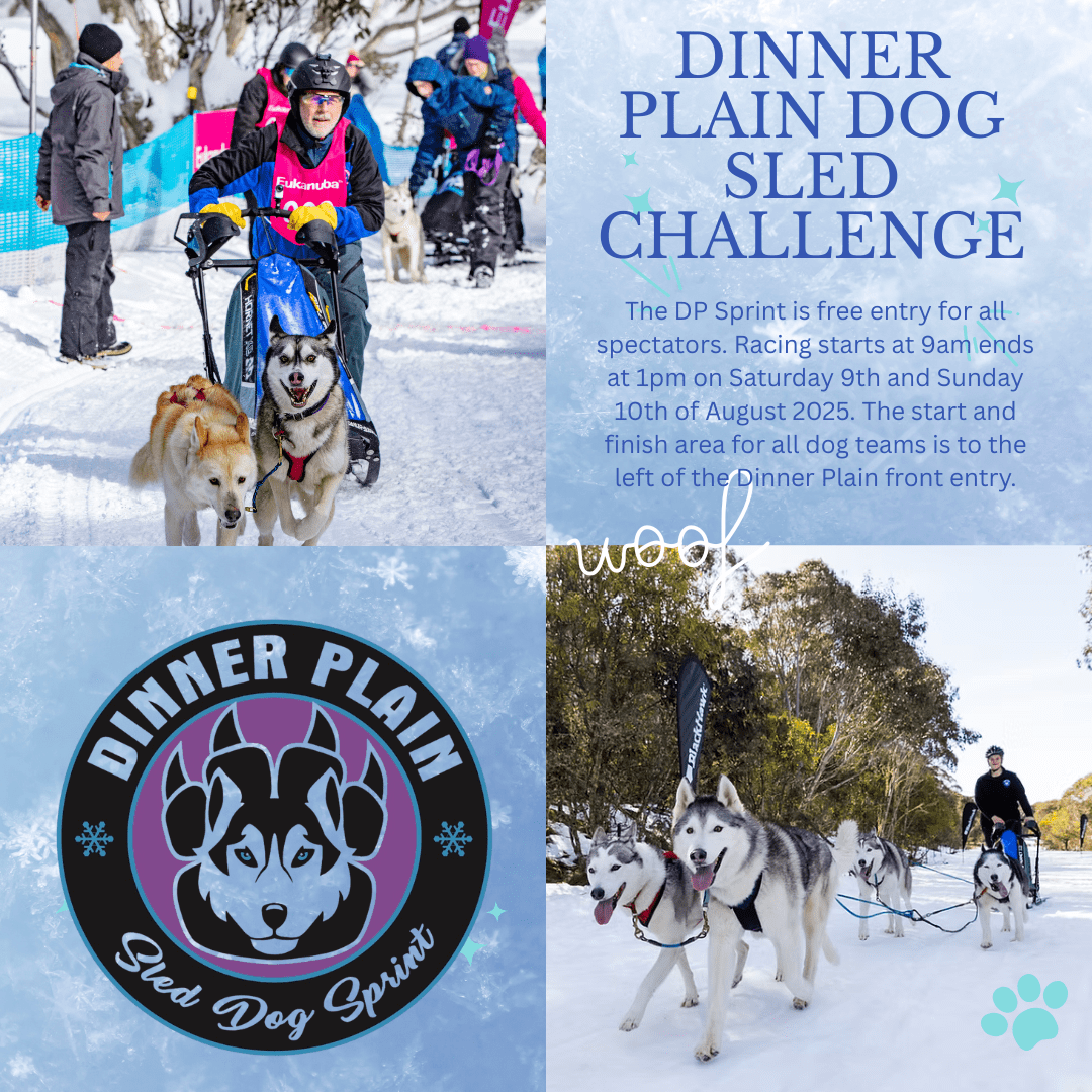 BGA Dinner Plain Dog Sled Challenge